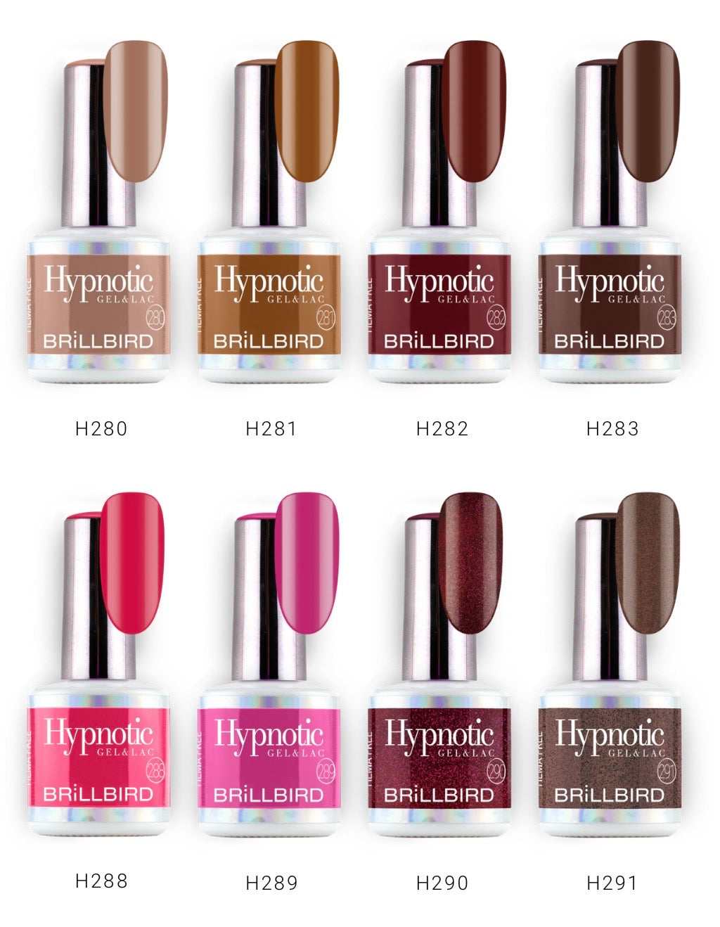 NEW Hypnotic Autumn Winter collection