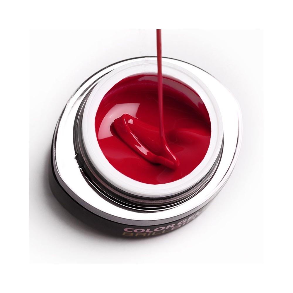 Gel de color Brush &amp; Go - GO121