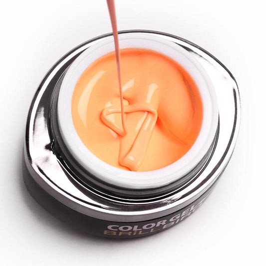 Gel de color Brush &amp; Go - GO58