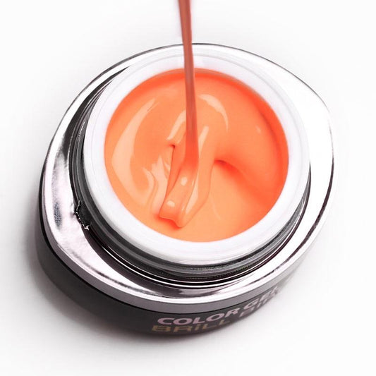 Gel de color Brush &amp; Go - GO54