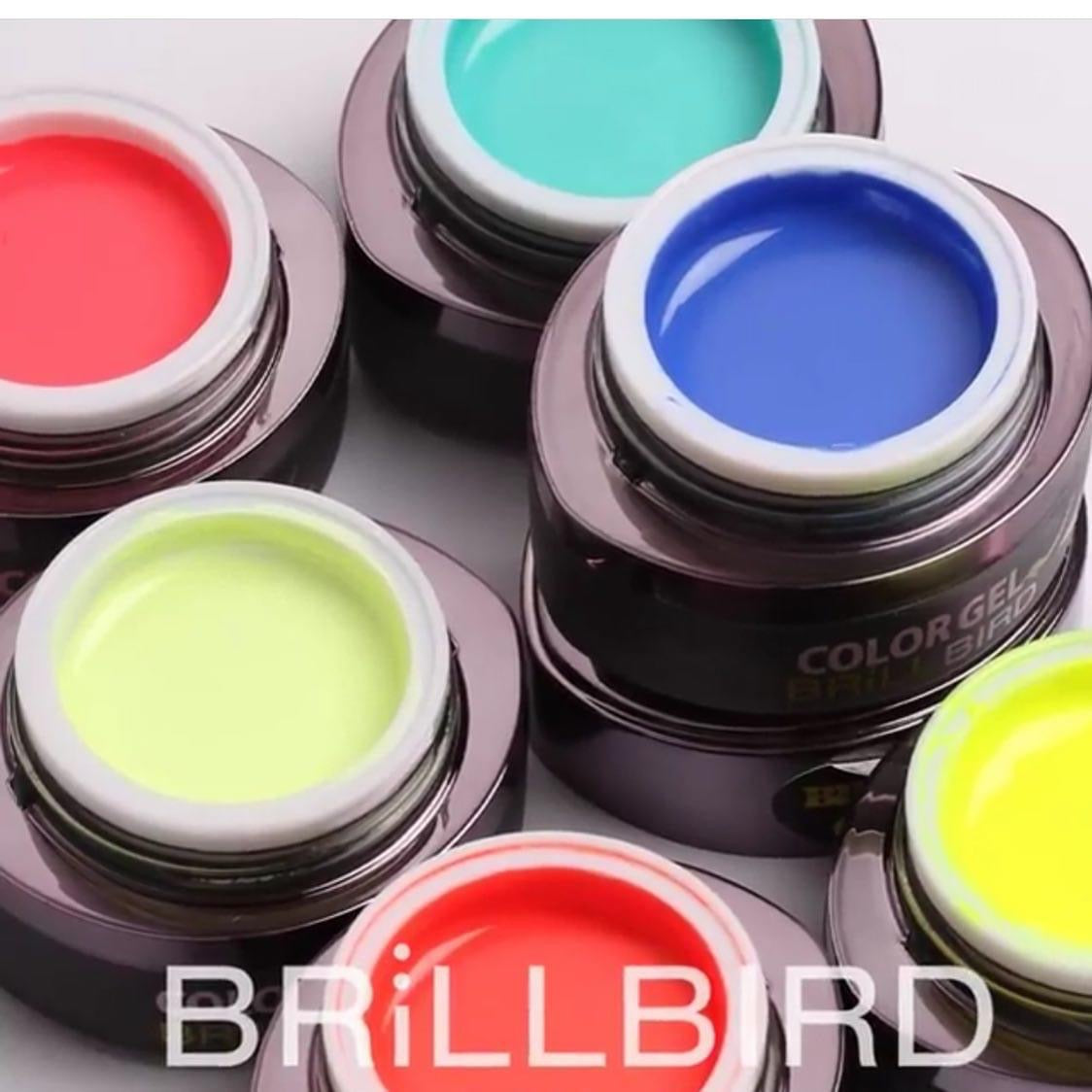 Brush & Go Full Collection