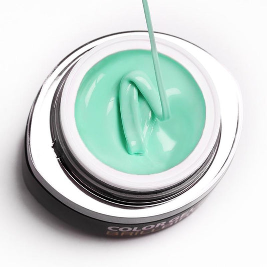 Gel de color Brush &amp; Go - GO85