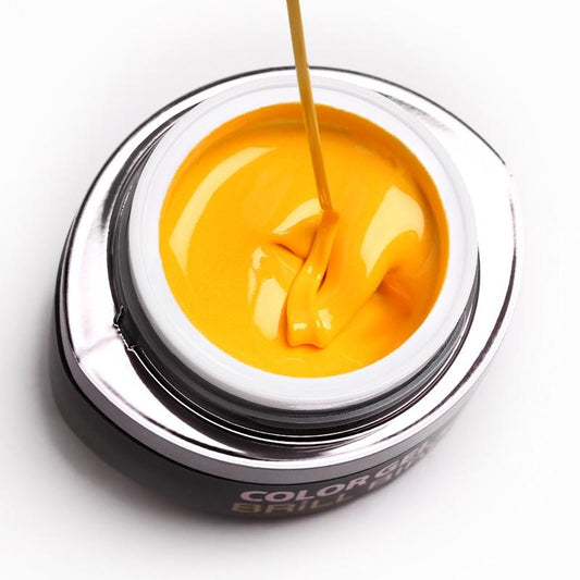 Gel de color Brush &amp; Go - GO65